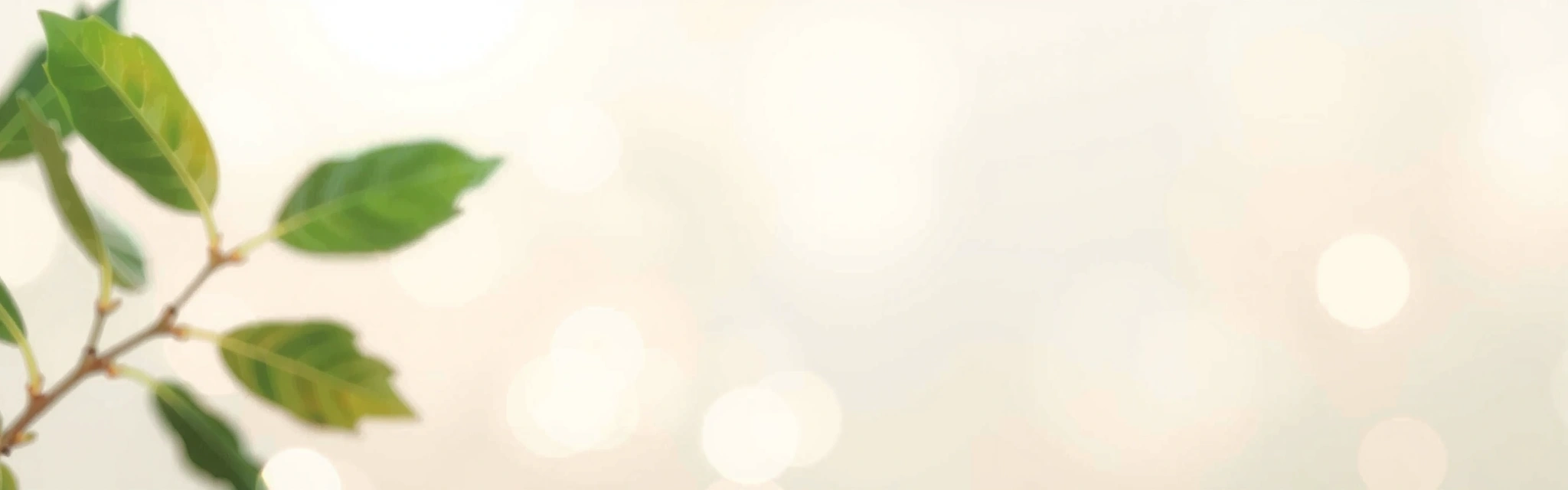 A detailed parchment scroll representing legal documents with a quill and inkwell, symbolizing the terms of service.